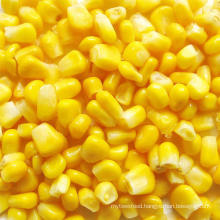 IQF Frozen Vegetables Sweet Corn Kernel